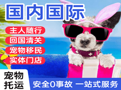 临沧博尚机场托运国际宠物托运 【国